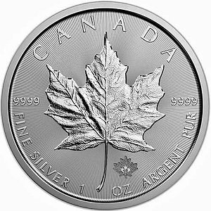 Canadian Silver Maple Leaf  