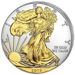 1oz  Silver Eagle Coin